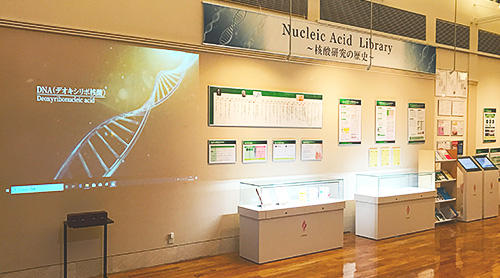 Nucleic Acid Library